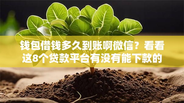 钱包借钱多久到账啊微信？看看这8个贷款平台有没有能下款的