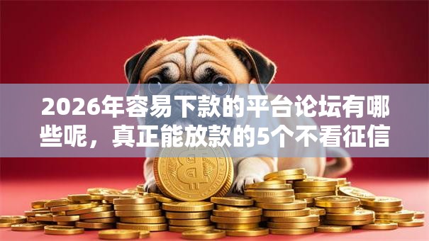 2026年容易下款的平台论坛有哪些呢，真正能放款的5个不看征信的小额贷款平台推荐