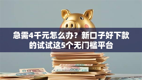 急需4千元怎么办？新口子好下款的试试这5个无门槛平台
