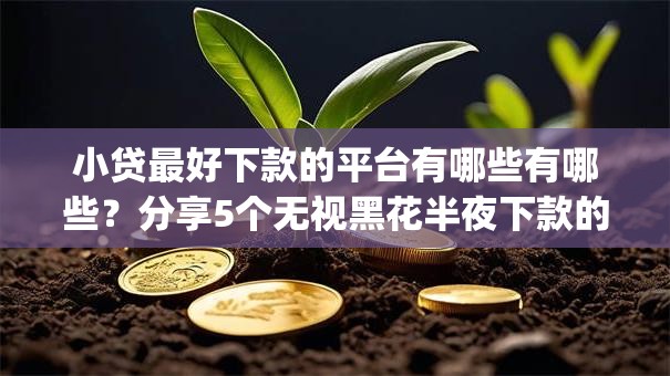 小贷最好下款的平台有哪些有哪些？分享5个无视黑花半夜下款的网贷app