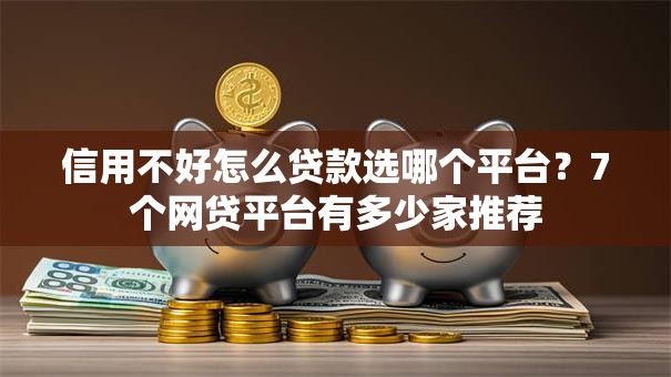 信用不好怎么贷款选哪个平台？7个网贷平台有多少家推荐