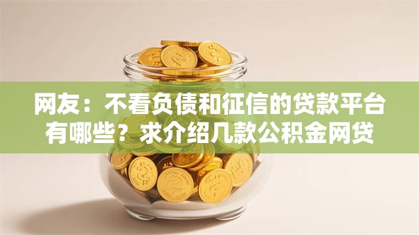 网友：不看负债和征信的贷款平台有哪些？求介绍几款公积金网贷平台