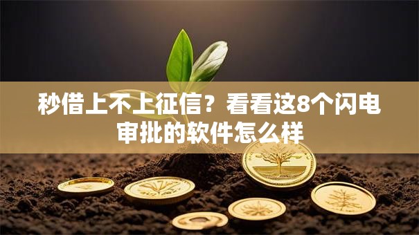秒借上不上征信?看看这8个闪电审批的软件怎么样 秒借上不上征信?看看这8个闪电审批的软件怎么样