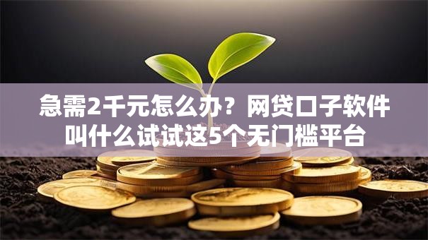 急需2千元怎么办？网贷口子软件叫什么试试这5个无门槛平台