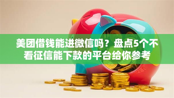 美团借钱能进微信吗？盘点5个不看征信能下款的平台给你参考