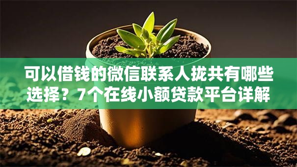 可以借钱的微信联系人拢共有哪些选择?7个在线小额贷款平台详解 可以借钱的微信联系人拢共有哪些选择?7个在线小额贷款平台详解
