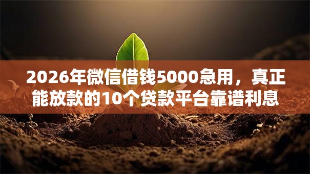 2026年微信借钱5000急用，真正能放款的10个贷款平台靠谱利息低推荐