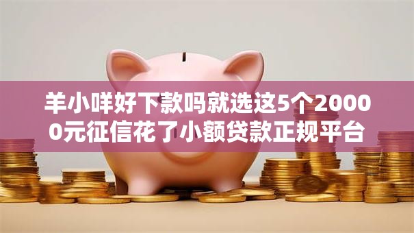 羊小咩好下款吗就选这5个20000元征信花了小额贷款正规平台