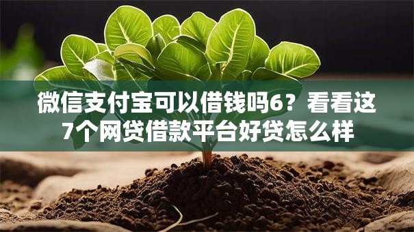 微信支付宝可以借钱吗6？看看这7个网贷借款平台好贷怎么样