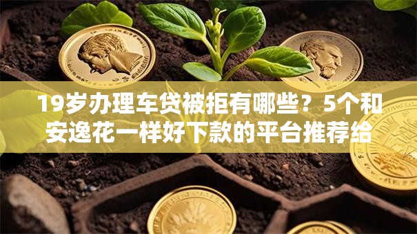 19岁办理车贷被拒有哪些？5个和安逸花一样好下款的平台推荐给你