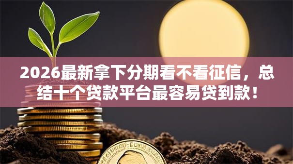 2026最新拿下分期看不看征信,总结十个贷款平台最容易贷到款! 2026最新拿下分期看不看征信,总结十个贷款平台最容易贷到款!