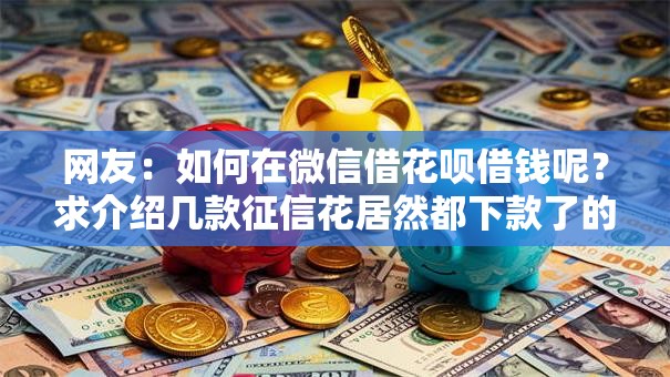 网友：如何在微信借花呗借钱呢？求介绍几款征信花居然都下款了的平台