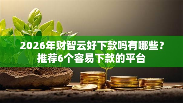 2026年财智云好下款吗有哪些?推荐6个容易下款的平台 2026年财智云好下款吗有哪些?推荐6个容易下款的平台