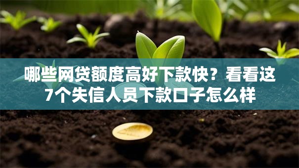 哪些网贷额度高好下款快?看看这7个失信人员下款口子怎么样 哪些网贷额度高好下款快?看看这7个失信人员下款口子怎么样