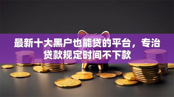 最新十大黑户也能贷的平台，专治贷款规定时间不下款