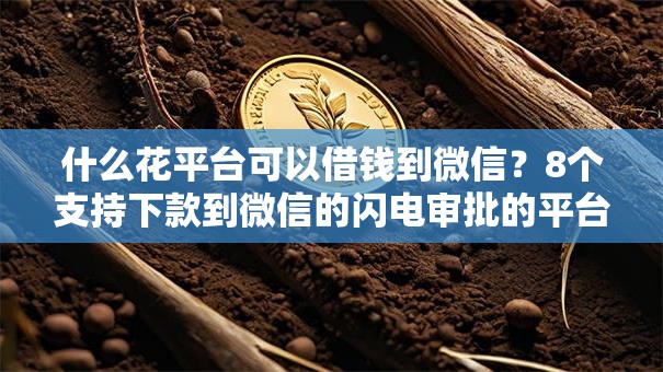 什么花平台可以借钱到微信?8个支持下款到微信的闪电审批的平台 什么花平台可以借钱到微信?8个支持下款到微信的闪电审批的平台