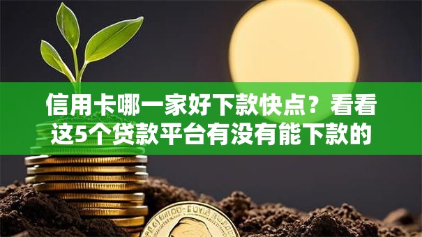 信用卡哪一家好下款快点？看看这5个贷款平台有没有能下款的