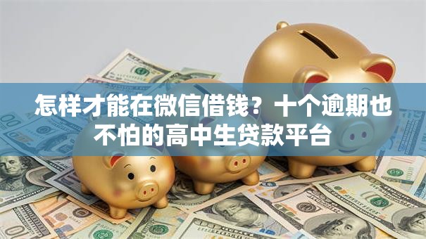 怎样才能在微信借钱？十个逾期也不怕的高中生贷款平台