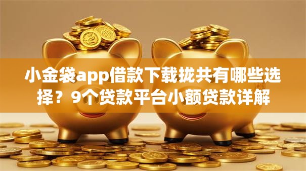 小金袋app借款下载拢共有哪些选择？9个贷款平台小额贷款详解