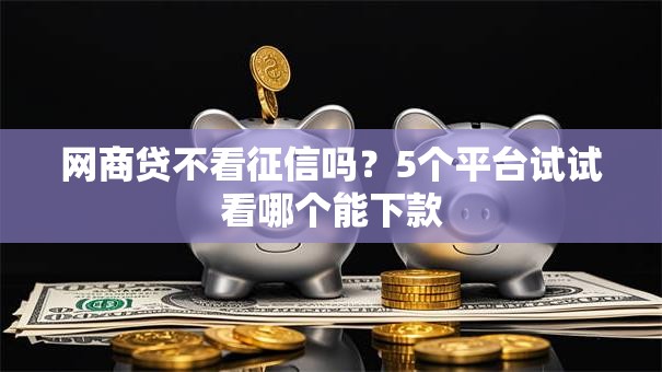 网商贷不看征信吗?5个平台试试看哪个能下款 网商贷不看征信吗?5个平台试试看哪个能下款