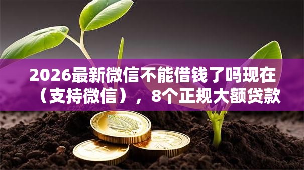 2026最新微信不能借钱了吗现在（支持微信），8个正规大额贷款平台无私分享