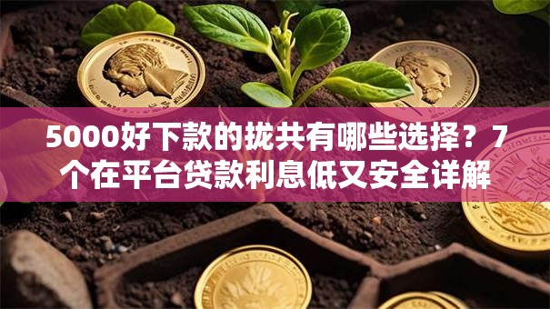 5000好下款的拢共有哪些选择？7个在平台贷款利息低又安全详解