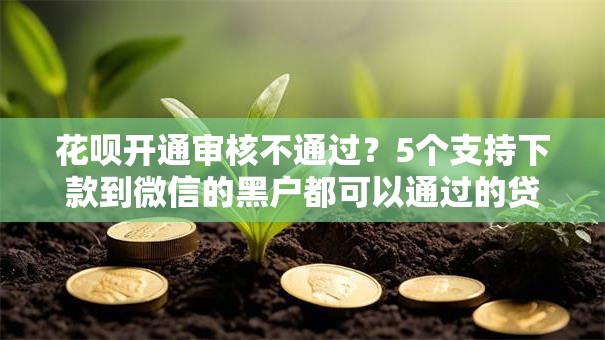 花呗开通审核不通过？5个支持下款到微信的黑户都可以通过的贷款平台