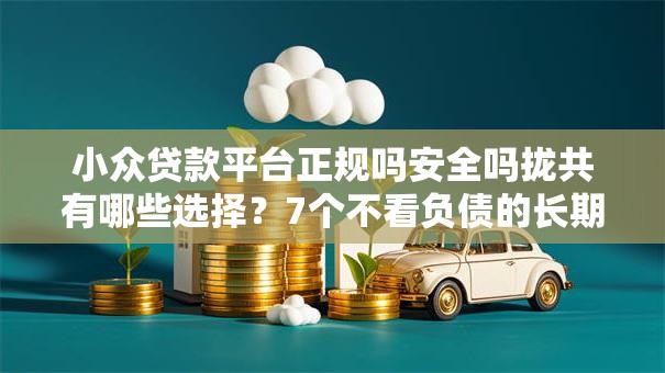 小众贷款平台正规吗安全吗拢共有哪些选择？7个不看负债的长期网贷软件详解