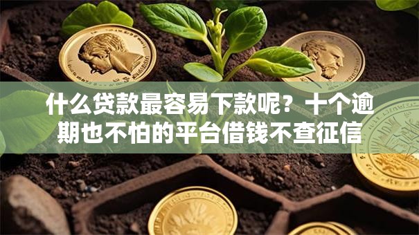 什么贷款最容易下款呢?十个逾期也不怕的平台借钱不查征信 什么贷款最容易下款呢?十个逾期也不怕的平台借钱不查征信