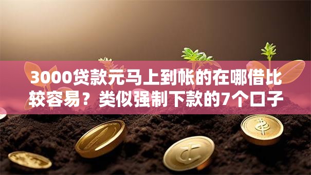 3000贷款元马上到帐的在哪借比较容易?类似强制下款的7个口子参考 3000贷款元马上到帐的在哪借比较容易?类似强制下款的7个口子参考