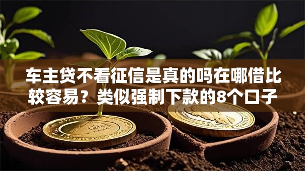 车主贷不看征信是真的吗在哪借比较容易？类似强制下款的8个口子参考