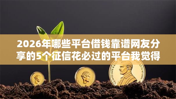 2026年哪些平台借钱靠谱网友分享的5个征信花必过的平台我觉得不错！