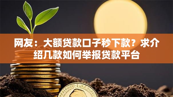 网友：大额贷款口子秒下款？求介绍几款如何举报贷款平台