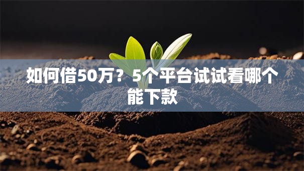 如何借50万？5个平台试试看哪个能下款