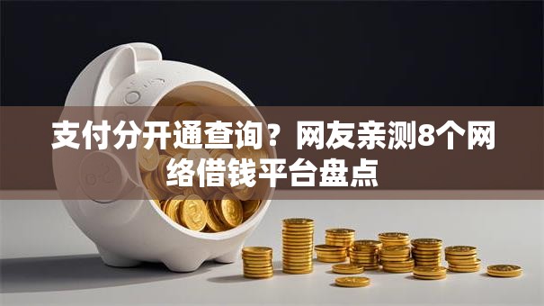 支付分开通查询？网友亲测8个网络借钱平台盘点