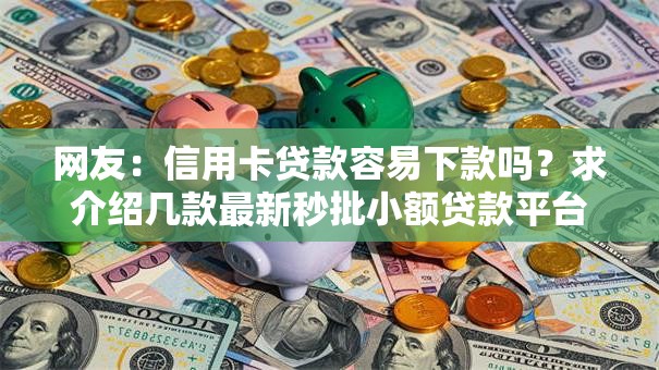 网友：信用卡贷款容易下款吗？求介绍几款最新秒批小额贷款平台