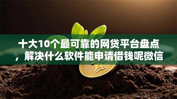 十大10个最可靠的网贷平台盘点，解决什么软件能申请借钱呢微信的问题