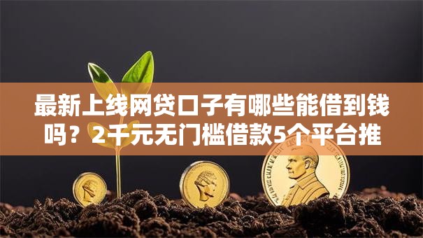 最新上线网贷口子有哪些能借到钱吗？2千元无门槛借款5个平台推荐