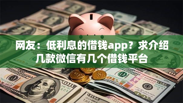 网友：低利息的借钱app？求介绍几款微信有几个借钱平台