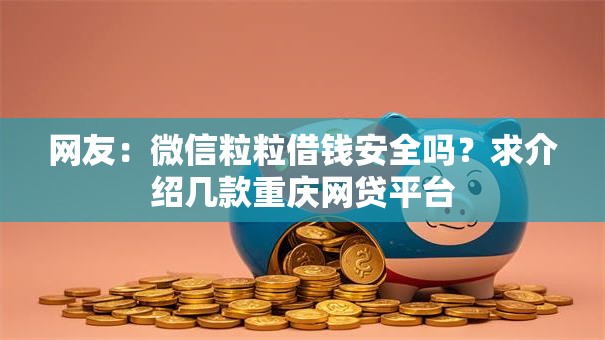 网友：微信粒粒借钱安全吗？求介绍几款重庆网贷平台