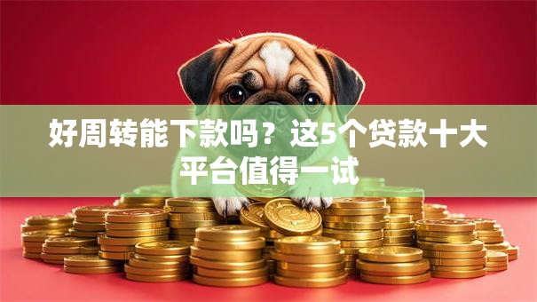 好周转能下款吗?这5个贷款十大平台值得一试 好周转能下款吗?这5个贷款十大平台值得一试
