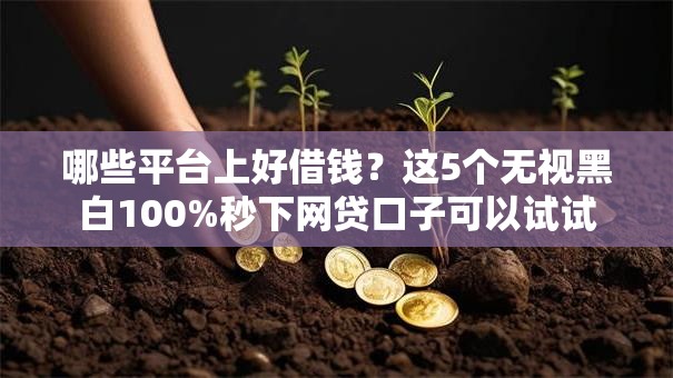 哪些平台上好借钱?这5个无视黑白100%秒下网贷口子可以试试 哪些平台上好借钱?这5个无视黑白100%秒下网贷口子可以试试