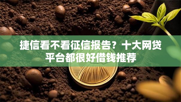 捷信看不看征信报告？十大网贷平台都很好借钱推荐