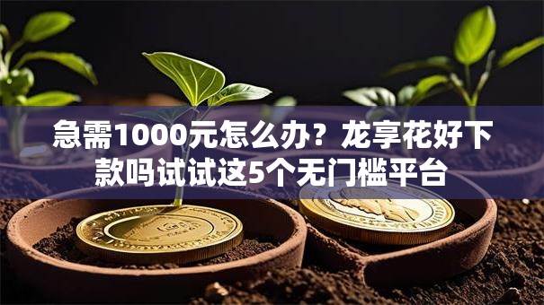 急需1000元怎么办？龙享花好下款吗试试这5个无门槛平台