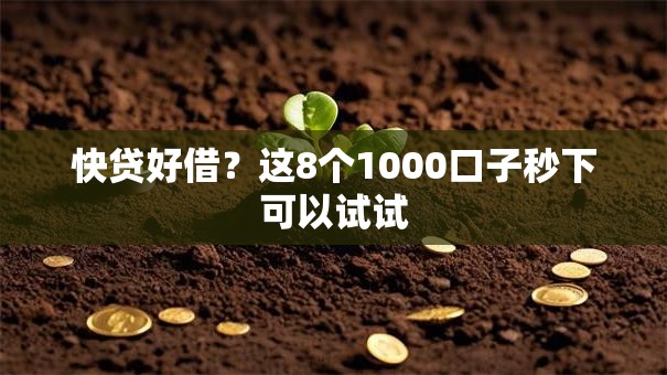 快贷好借？这8个1000口子秒下可以试试