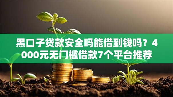 黑口子贷款安全吗能借到钱吗？4000元无门槛借款7个平台推荐