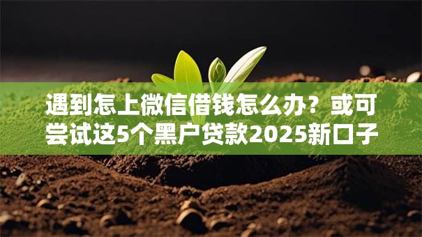 遇到怎上微信借钱怎么办？或可尝试这5个黑户贷款2025新口子