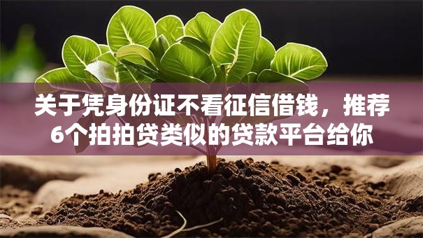 关于凭身份证不看征信借钱，推荐6个拍拍贷类似的贷款平台给你