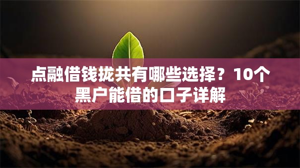 点融借钱拢共有哪些选择？10个黑户能借的口子详解