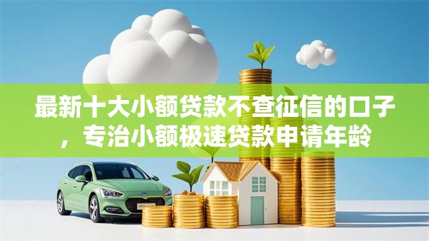 最新十大小额贷款不查征信的口子，专治小额极速贷款申请年龄